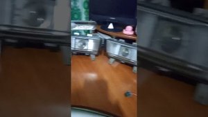 противотуманки опель омега а рестайлинг