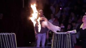 цирк шапито  Арлекин "БЕЛАРУСЬ"