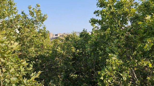 Обнови свою жизнь. смотреть онлайн