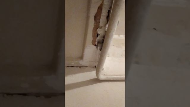 15 августа 2020 г.ремонт в хрущевке, кухня 6 кв м смотреть онлайн