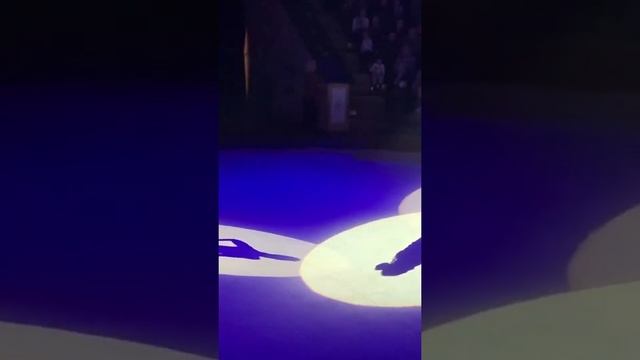 БЕЛОРУССКИЙ ГОСУДАРСТВЕННЫЙ ЦИРК. В НЕКОТОРОМ ЦАРСТВЕ,В НЕКОТОРОМ ГОСУДАРСТВЕ. смотреть онлайн