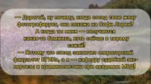 Когда ты профессионал в своем деле?