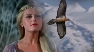 УЛЕТАЙ  НА  КРЫЛЬЯХ  ВЕТРА