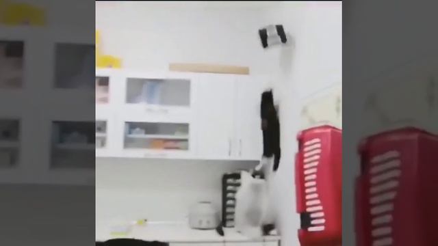 доктор! он у нас слегка нервный! ничего страшного открывайте!