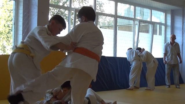 Рандори.День борьбы . Школа № 224. Киев. 8 сентября 2016. смотреть онлайн