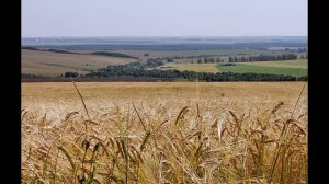 Туган як  31  "Икмәк булса   җыр да булыр"