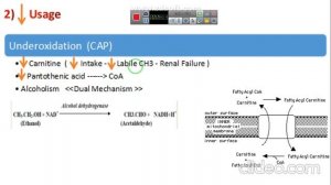 Lec 1 - Biochemistry - Fatty liver - GIT