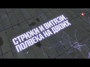 "Стрижи" и "Витязи". Полвека на двоих. Военная приемка