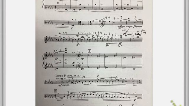 Adagio for Strings Viola смотреть онлайн