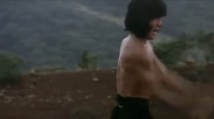 Бесстрашная гиена.Тао  "Изменяющийся кулак"