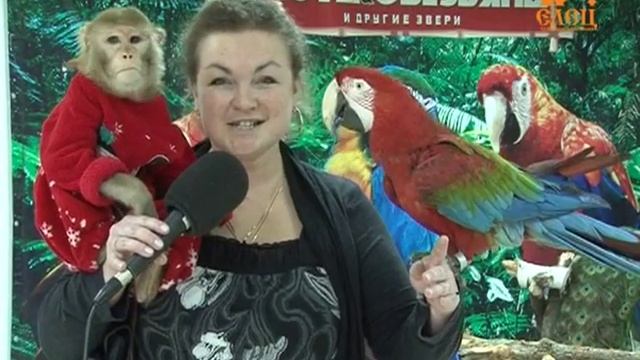 Зоопарк смотреть онлайн