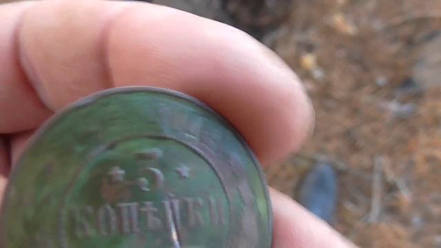 Я ЧУТЬ НЕ ЗАПЛАКАЛ КОГДА ИЗВЛЕК ЕЕ ИЗ ПОД КОРНЕЙ КРИВОЙ СОСНЫ! Не повторяйте моей ошибки!