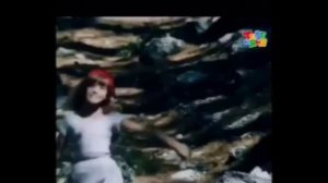 ААААА КРОКОДИЛЫ, БЕГЕМОТЫ