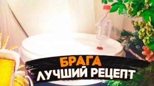 Как приготовить лучшую брагу из сахара