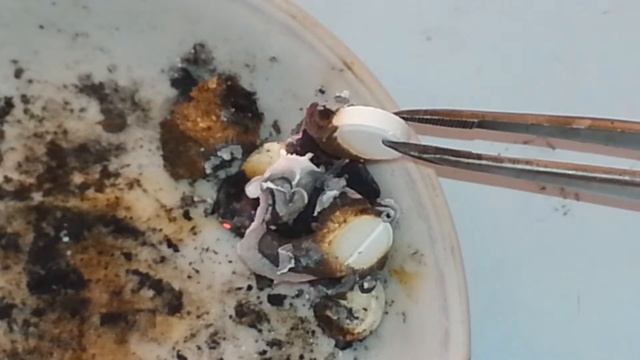 Интересный опыт с кальцием смотреть онлайн