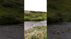 Кольский полуостров / Рыбалка на реках и озерах Полуострова Рыбачий и Средний