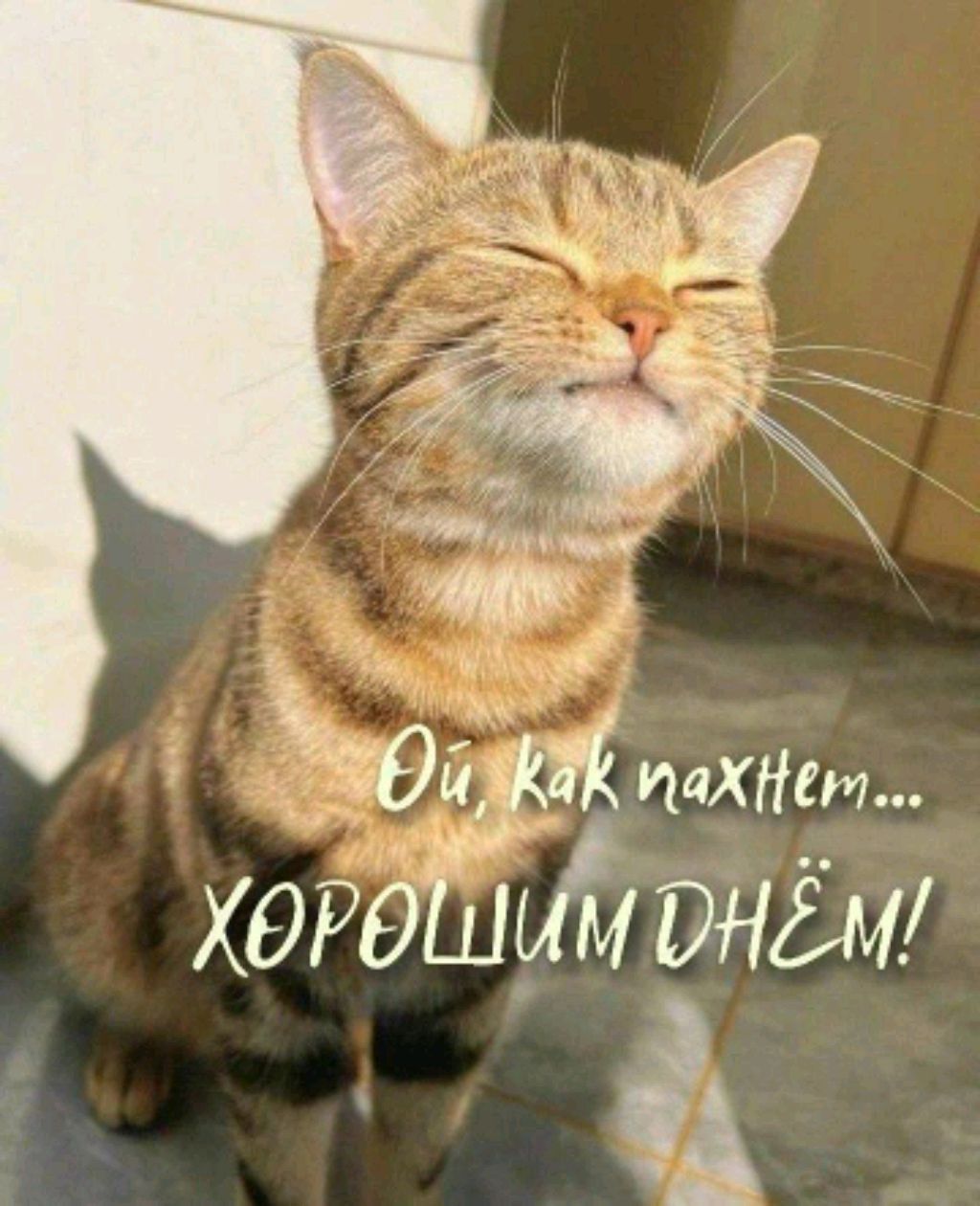 иди сюда здесь весело😃