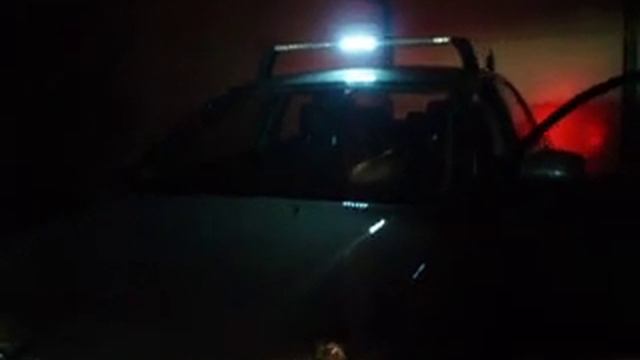 kogut FEDlight LD-3 1 смотреть онлайн