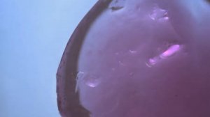 аммиак и гидроксид натрия