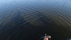 Рыбалка оз  Изюк  Тевриз