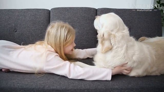 ENG AQILLI IT ZOTLARI TOP 10 // ENG ZOR ITLAR смотреть онлайн