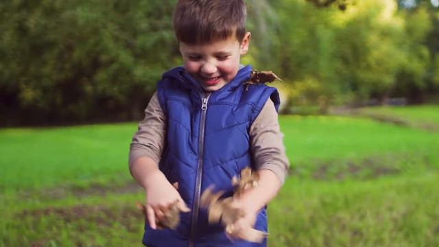 Teefee // Zuckerfreier Getränkesirup - Da klebt nichts! смотреть онлайн