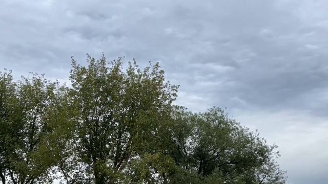 Занимаемся прокатом сапбордов легально. Сын проводит инструктаж. смотреть онлайн