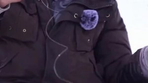 Ловля окуня на МОРМЫША зимой