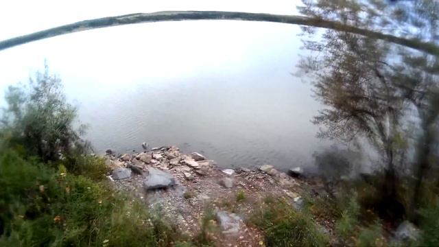 Как и на что можно поймать креветку в море. Рыбалка в Приморье Креветка.