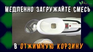 Молоко из абрикосовых косточек: рецепт для соковыжималки Green Star Elite