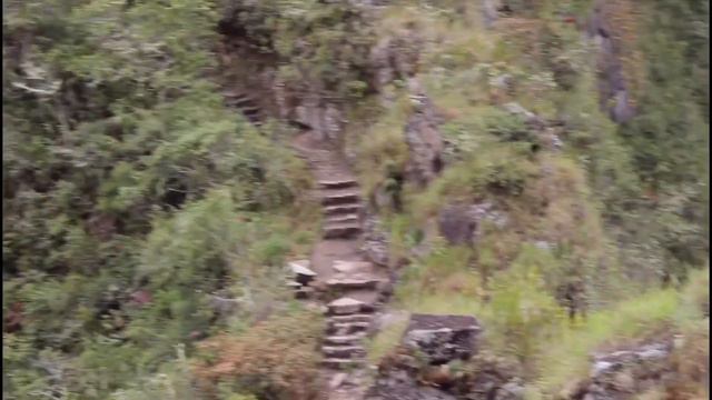 Утят делает кря смотреть онлайн