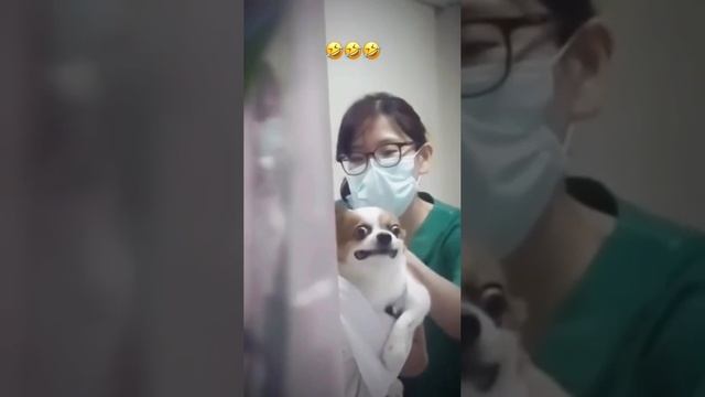 уже на готове смотреть онлайн