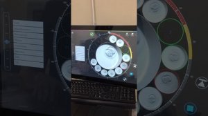 Развитие эмбрионов в режиме реального времени