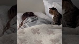 ? И будильник не нужен

Хоть бы мой так не научился ?