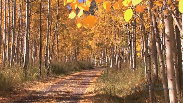 БОГООБЩЕНИЕ. КАК ЭТО ПРОИСХОДИТ. ПЕСТОВ Н.Е.