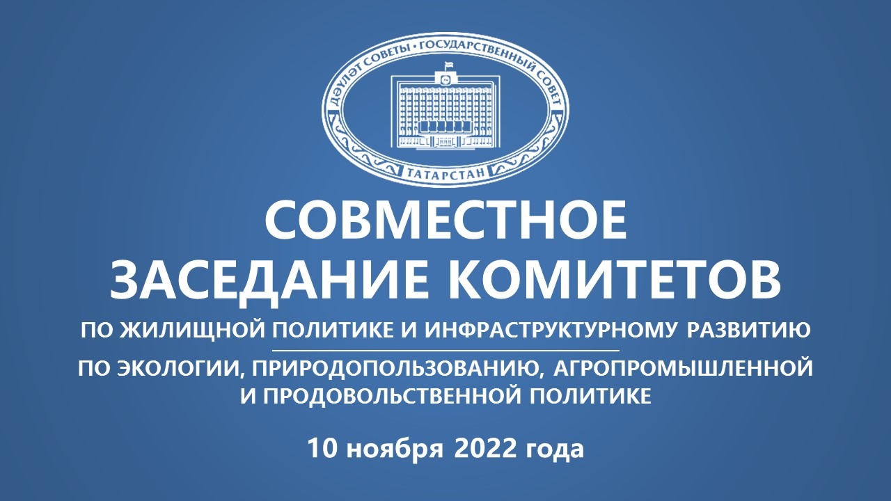 10.11.2022 совместное заседание Комитетов Государственного Совета Республики Татарстан