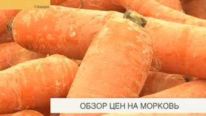 Обзор цен на морковь