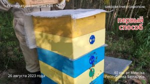 Пять способов закорма пчел в зиму. Предварительная сборка гнезда на 145 рамку.