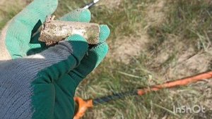 С МЕТАЛЛОИСКАТЕЛЕМ МД4090 ВОКРУГ РОДИТЕЛЬСКОГО ДОМА
