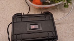 Включение озонатора Amber A1200