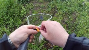 Trout Hunting 2016 - 2- Trout Fishing-Forellenangeln-Рыбалка на форель.