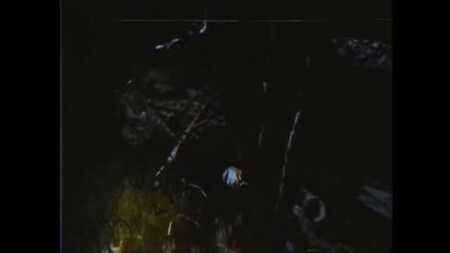 i found siren head in creepy forest FD1313-27842E (part1)