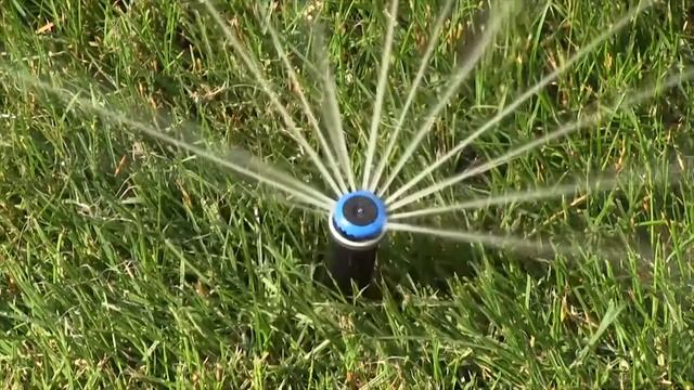 Системы полива и тумана. Компания Укрспецсбыт смотреть онлайн