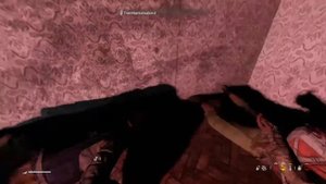 Bit of a hostage situation on a PVE server DayZ PS4