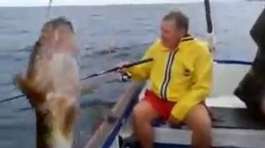 Смотреть Эффективная Наживка Для Рыбы.Рыбалка.Fishing - Наживка Для Морской Рыбалки