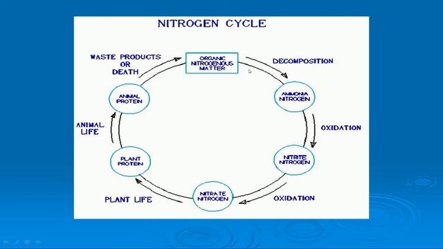 Yeskendirova M  M     Natural Water Chemistry 2