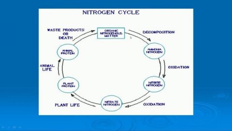 Yeskendirova M M Natural Water Chemistry 2