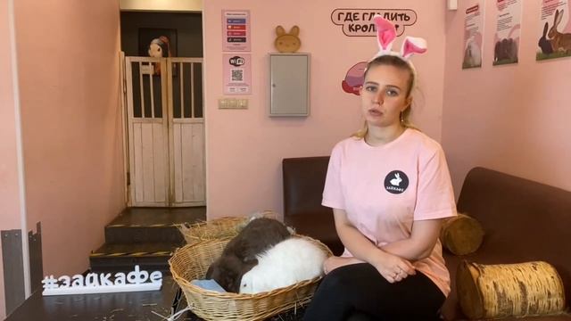 САМЫЕ БОЛЬШИЕ КРОЛИКИ ВЕЛИКАНЫ ! КАК ЖИВУТ БОЛЬШИЕ КРОЛИКИ В АНТИКАФЕ
