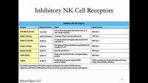 Immunology Lecture 27: NK Cells