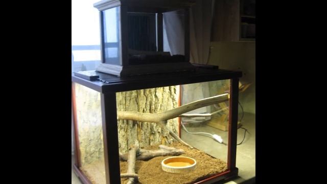 Террариум для пауков своими руками. смотреть онлайн